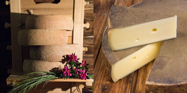Käsespezialitäten vom Bergbauernhof Käsespezialitäten vom Bergbauernhof